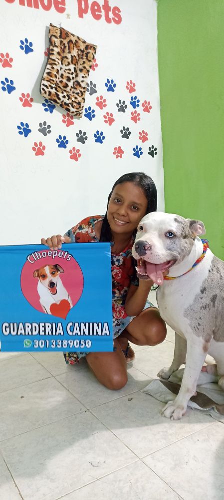 Guardería canina Clhoepets - Cartagena Appearance