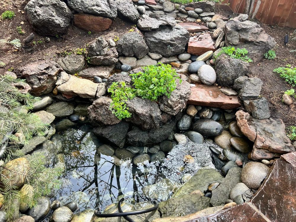 BR & D Landscape, Inc. - Highlands Ranch Cleanliness