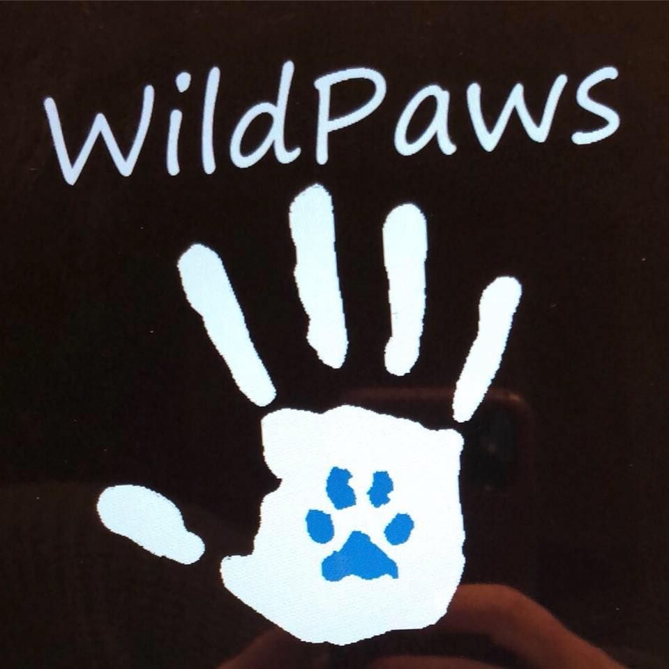 Wild Paws - Ankeny Environment