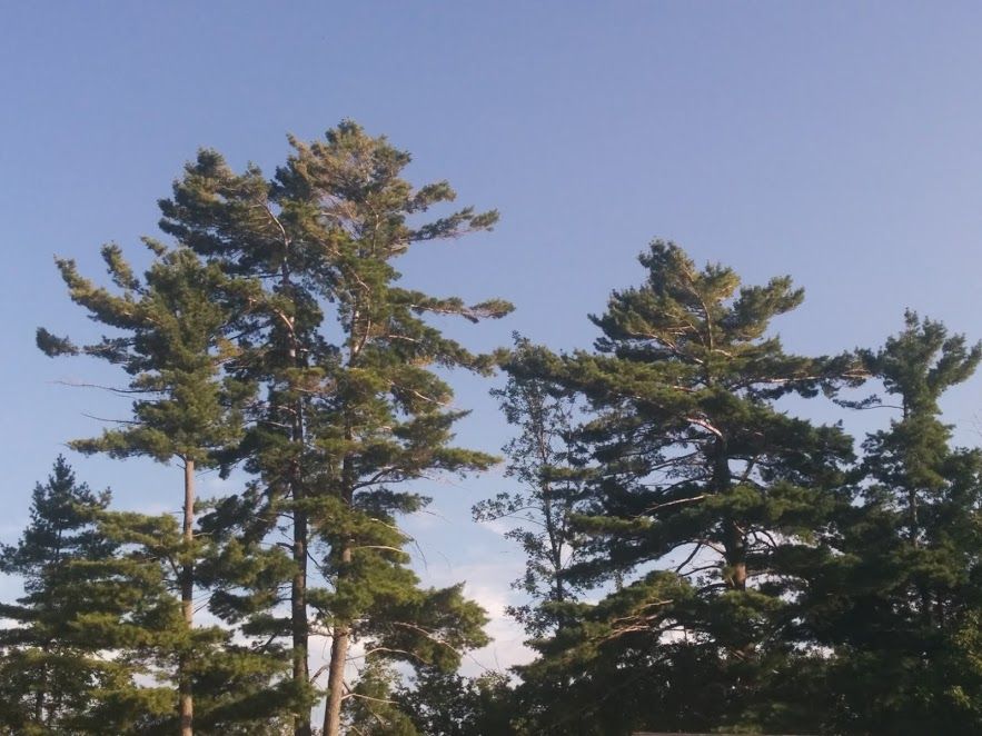 McFadden Cottages - Wasaga Beach Wheelchairs