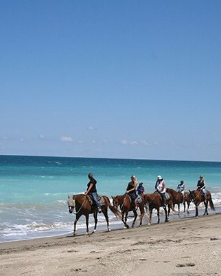 Treasure Coast Florida Region Thumbnails