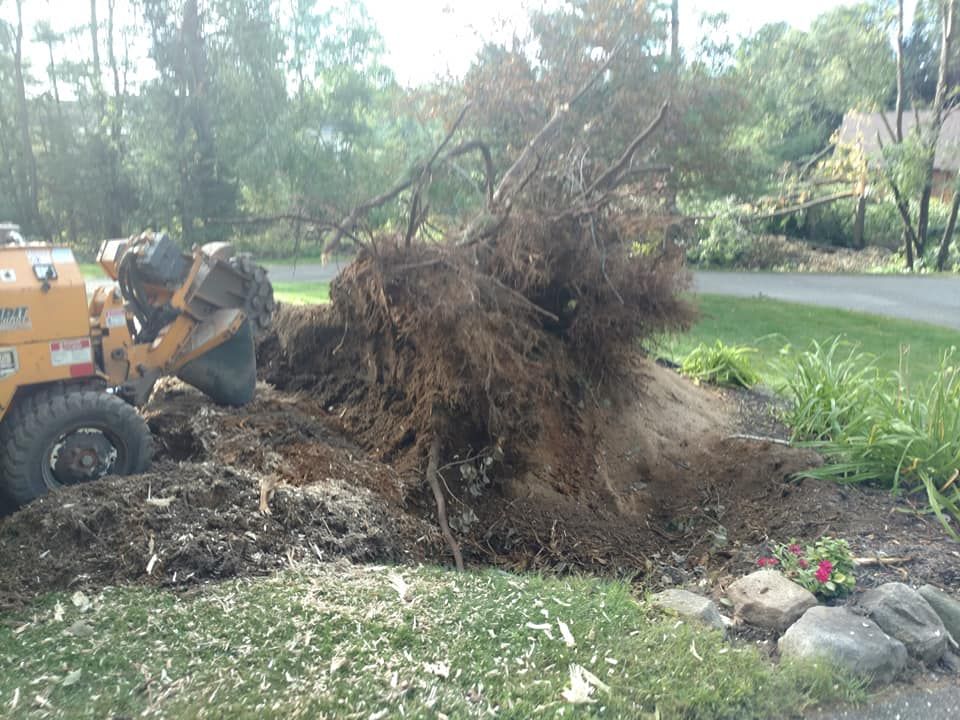 Tnt Stump Grinding - Magnolia Landscaping