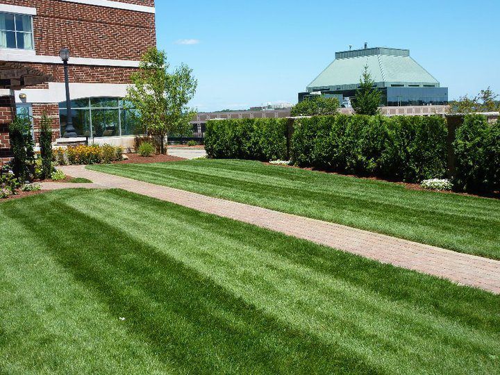 Chapin Sheds - Whitman Maintenance