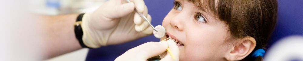 Wheaton Dental Clinic - Wheaton Webpagedepot