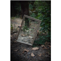 Alabama Beveled Glass - Adamsville Accommodate