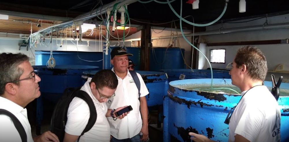 Surtigas S.A. E.S.P. - Cartagena Individual