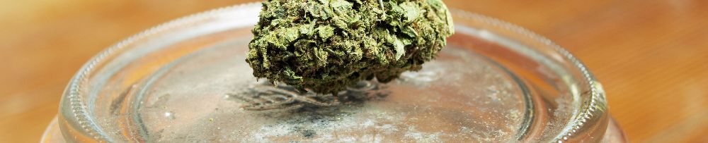 The Grass Station - Tulsa Informative