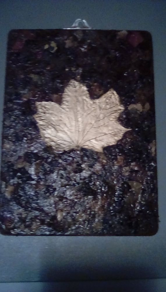 Irish Hill Studios - La Crosse Especially