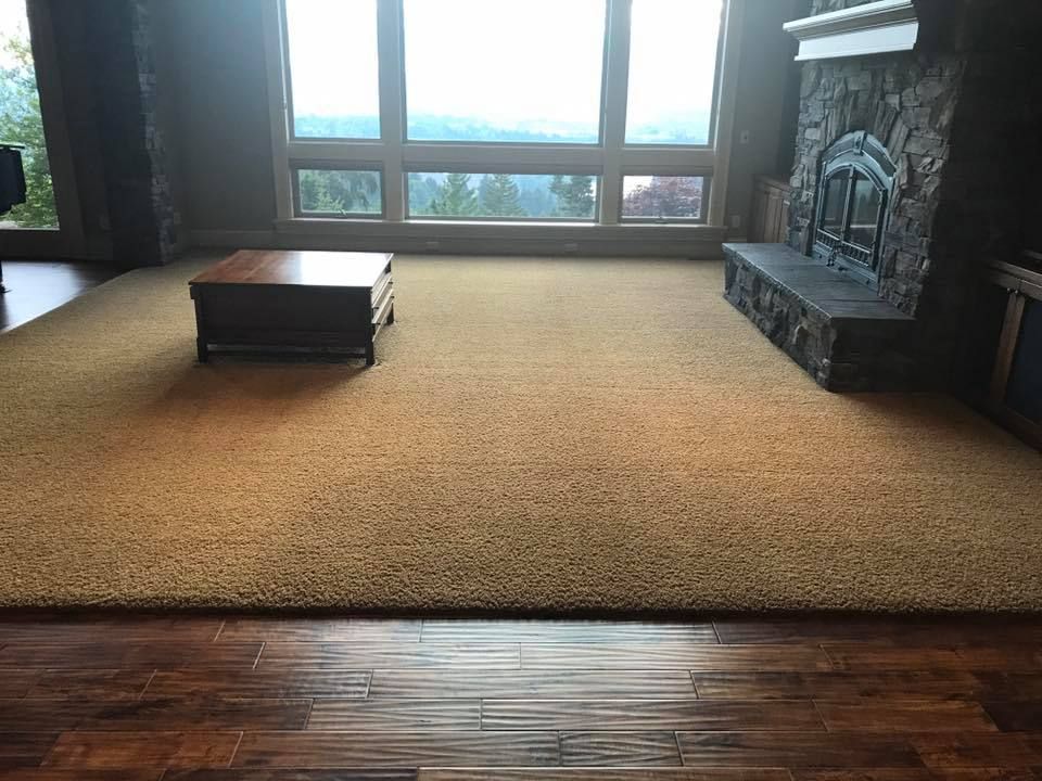 McMillan's Like New Carpet Care Documented