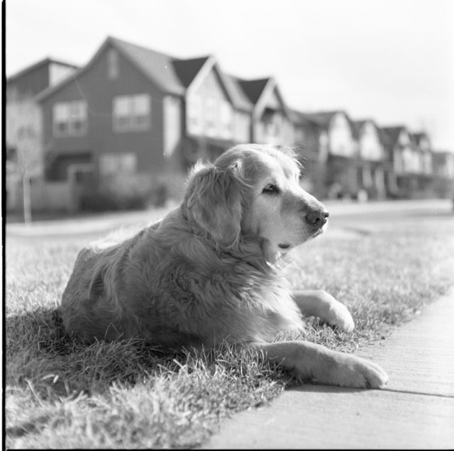 Sloat, Nicholson & Hoover, P.C.- Personal Injury Attorneys - Boulder Information