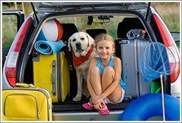 Tire Empire & Auto Repair - Buffalo Information