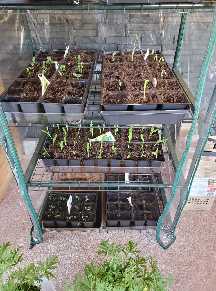 Alliance Disposal 2010 Ltd - County of Grande Prairie No. Timeliness