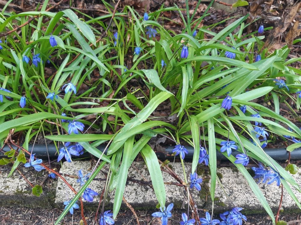 McFadden Cottages - Wasaga Beach Thumbnails
