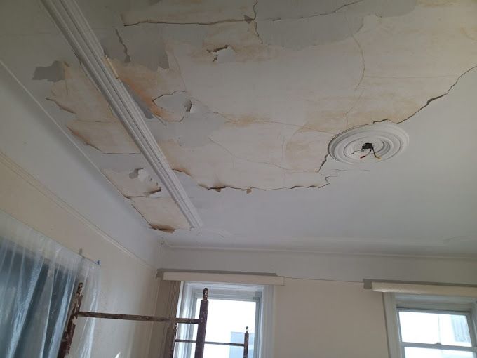 Italian Painting Co. Accomodate