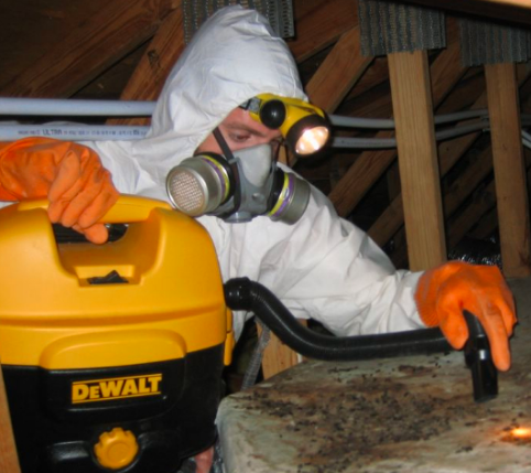 Seattle Bed Bug Extermination - Seattle Appointments