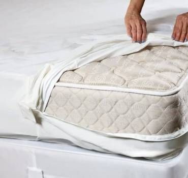 Michigan Bed Bug Specialists, LLC - DeWitt Information