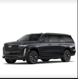 Black Car IQ - Hurricane Establishment