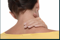 Joseph M. Crum DC Organization