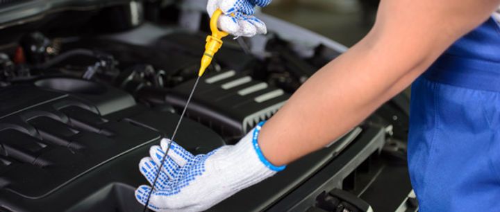 ALMACÉN LUBRIEXITO - Cartagena Combination