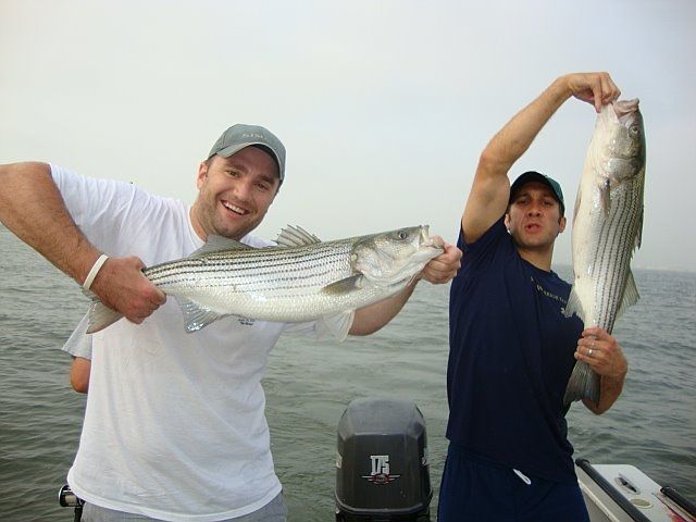 NYharborFishing Informative