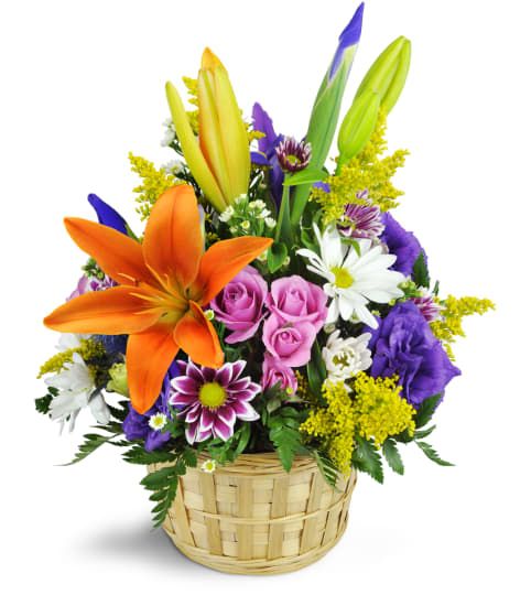 Bloomsburg Floral Available