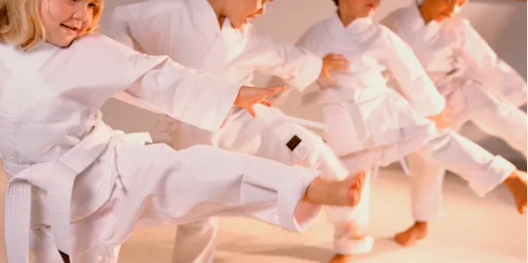 King Tiger Tae Kwon Do - Leland Appointment
