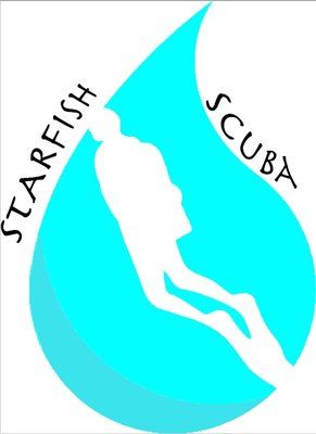 Starfish Scuba - Boynton Beach Positively