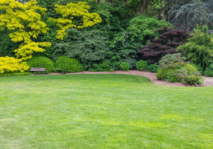 Little Rock Lawns - Little Rock Informative