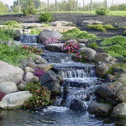 Acorn Ponds & Waterfalls - Rochester Positively