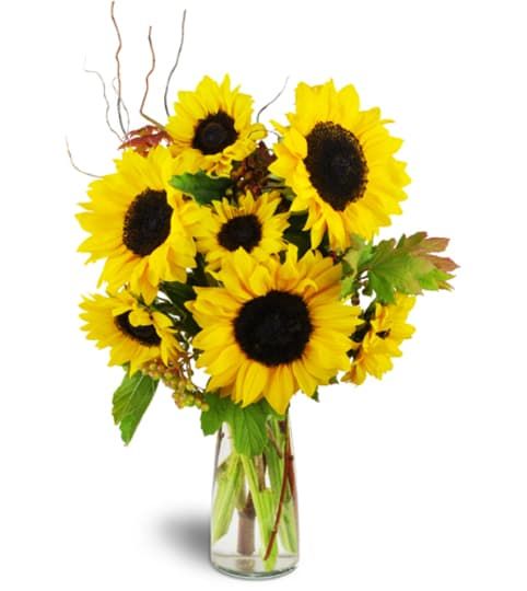 Basket Tree Florist - Apex Informative