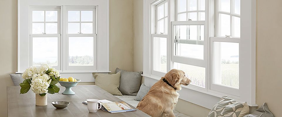 Winning Windows Questions