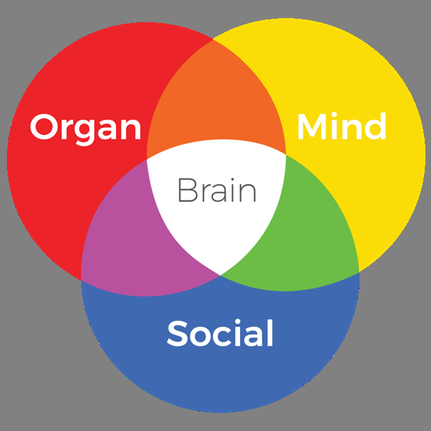 Natural Choices Inc. - Saint Joseph Assessment