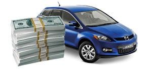 Platinum Pawn Tampa - Tampa Environment