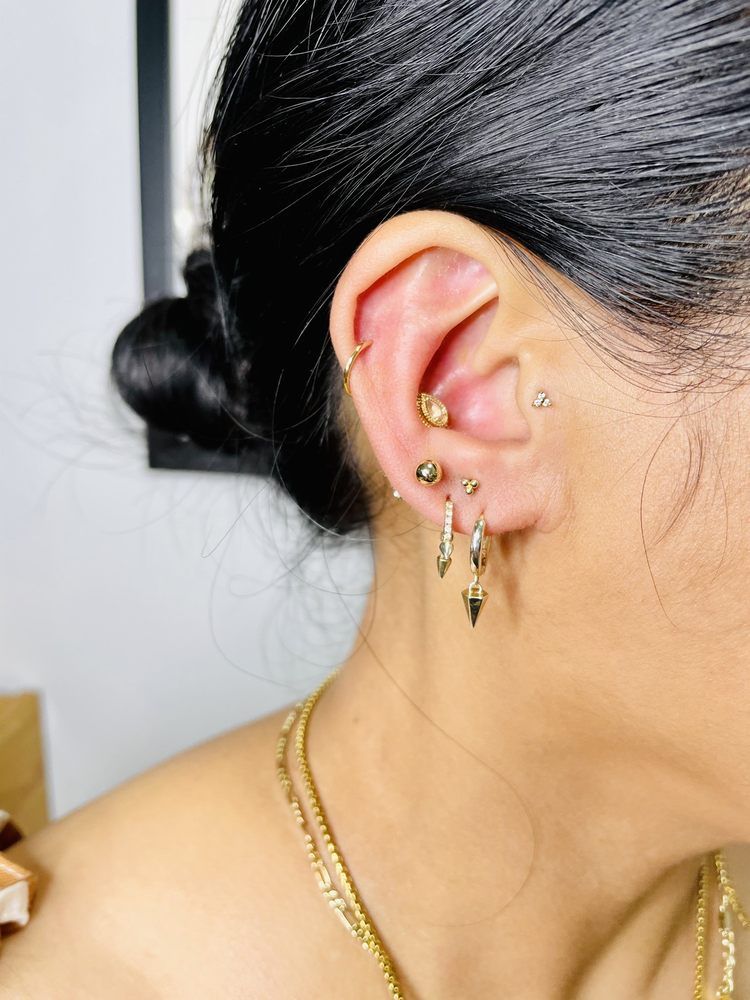 Museum Of Living Arts Body Piercing - Charleston Combination