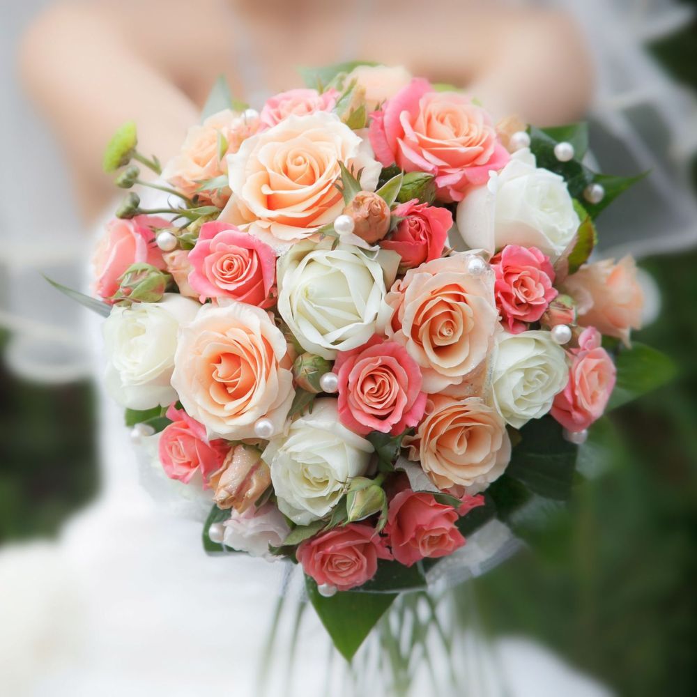 The Violet Shop - Carthage Wheelchairs