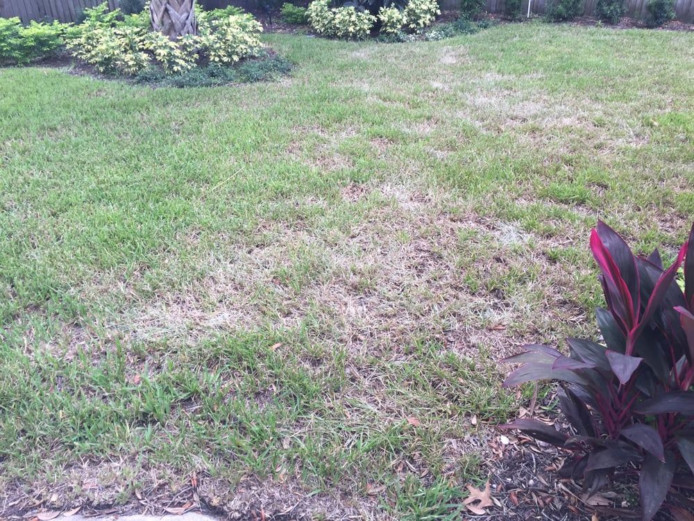 Laurie's Landscape Service - Lake Mary Informative