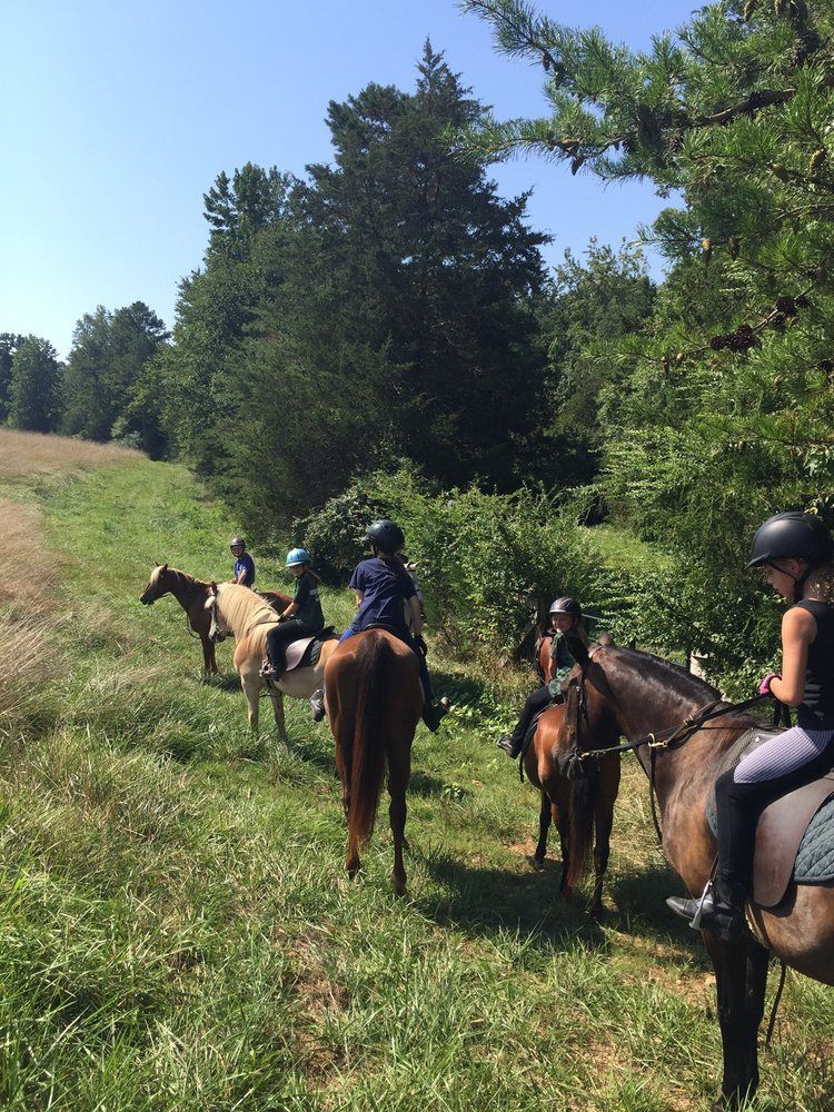 Jon Walker Stables & Riding Academy Inc. - Gastonia Appointments