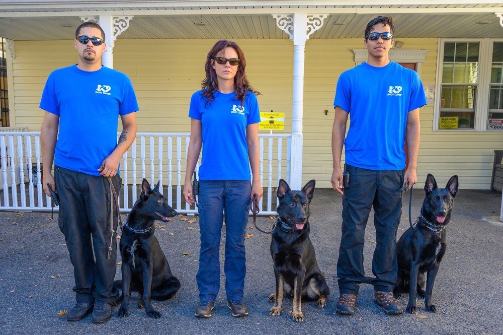 K9 Boot Camp - East Rutherford Fantastic!