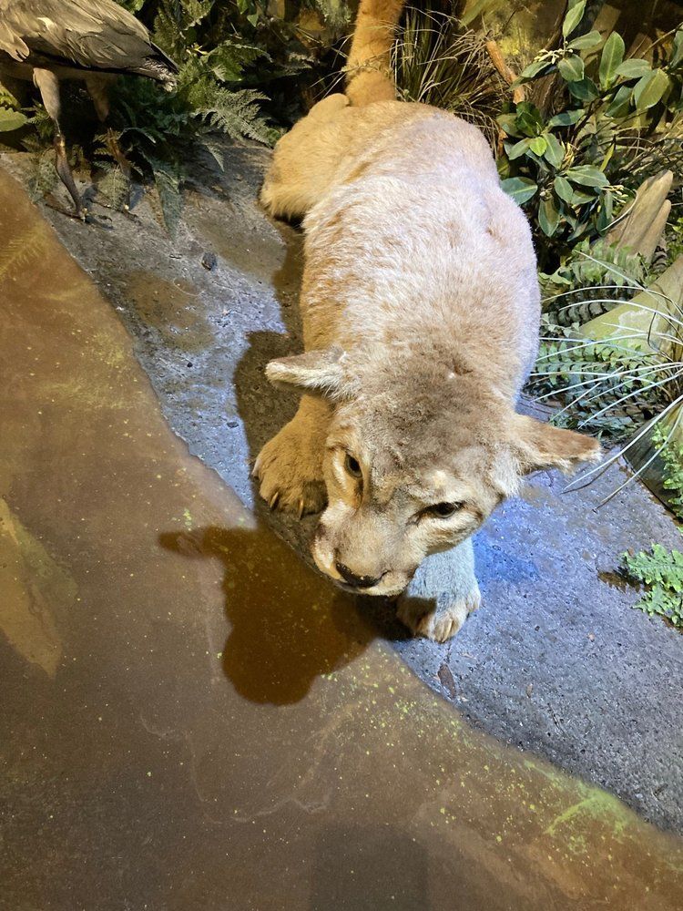 South Florida Science Center and Aquarium - West Palm Beach Informative