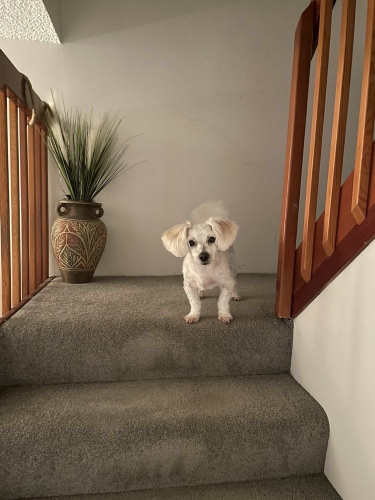 Baker Veterinary Clinic - West Palm Beach Webpagedepot