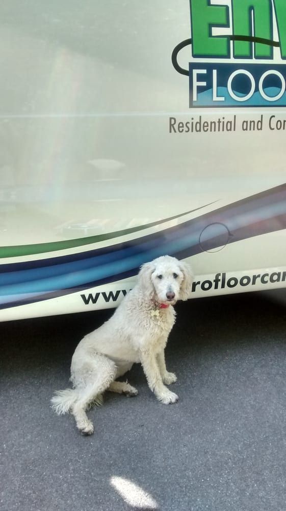 Enviro FLOORCARE - Old Saybrook Positively