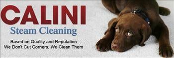 Calini Steam Cleaning - Lebanon Appointment