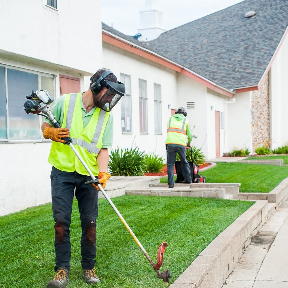 Cornerstone Landscape - Belmont Positively