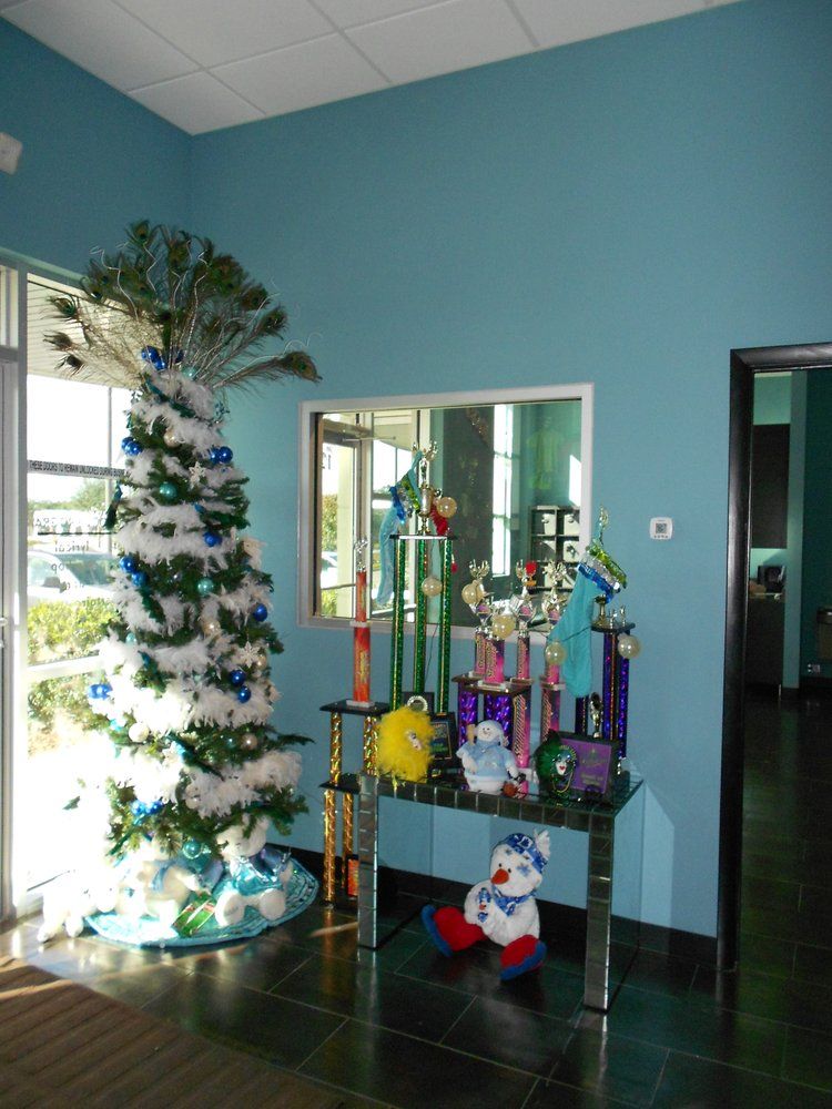 DanzForce Extreme - Orlando Affordability