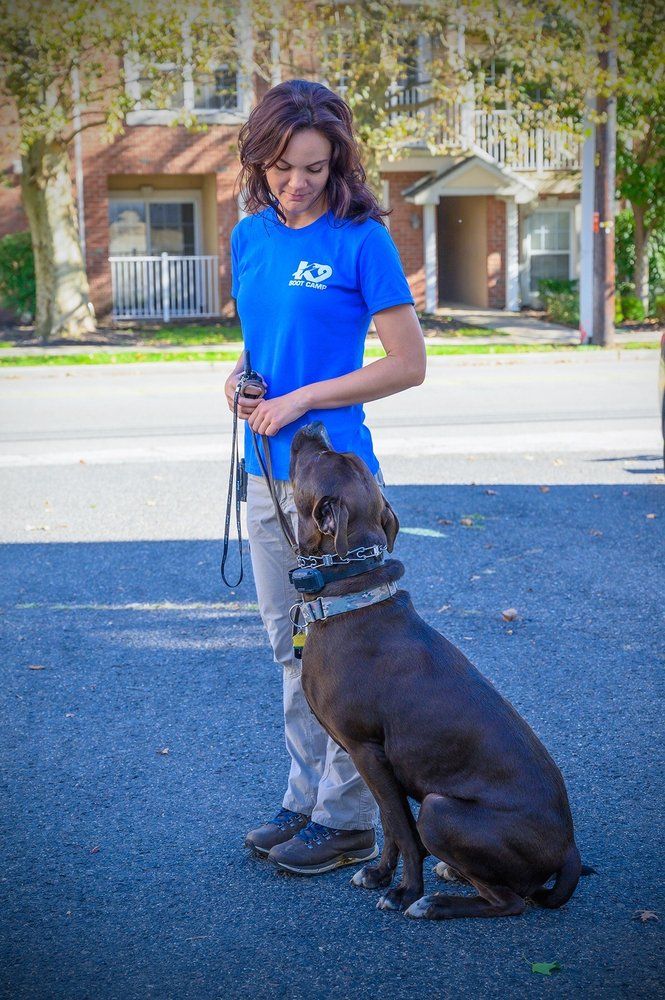 K9 Boot Camp - East Rutherford Accommodate