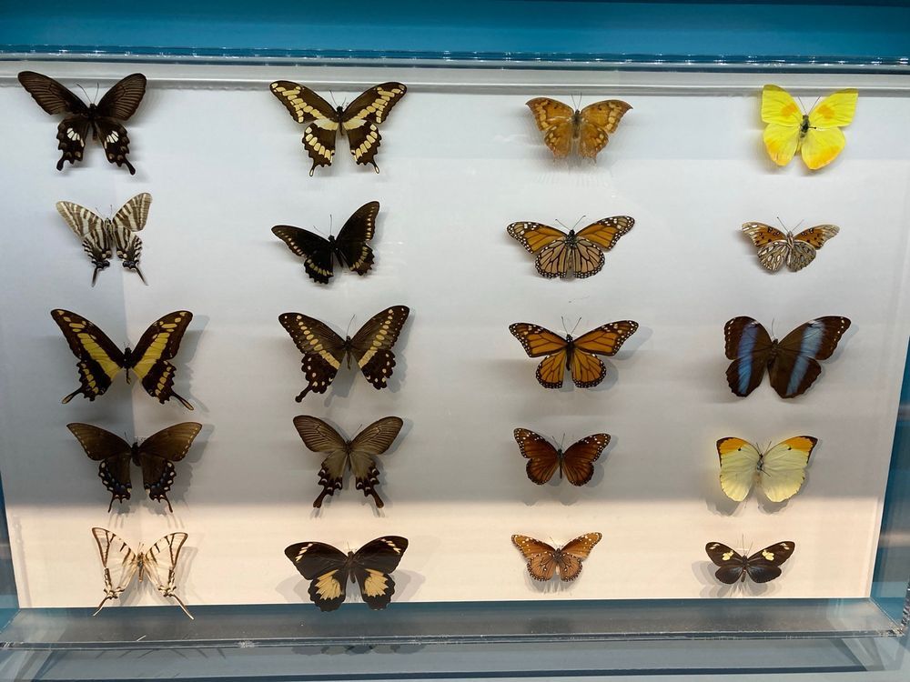 South Florida Science Center and Aquarium - West Palm Beach Themselves