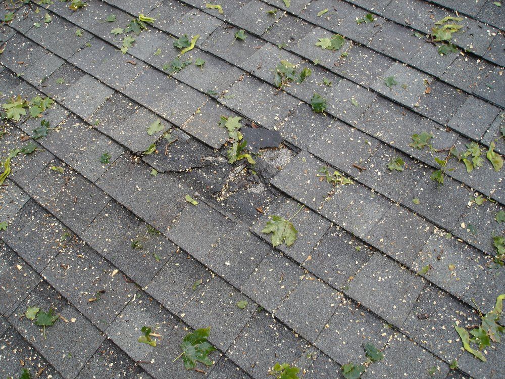 The Roof Dentist - Box Hill South Informative