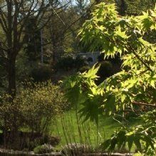 Andover Arborists - Andover Accommodate