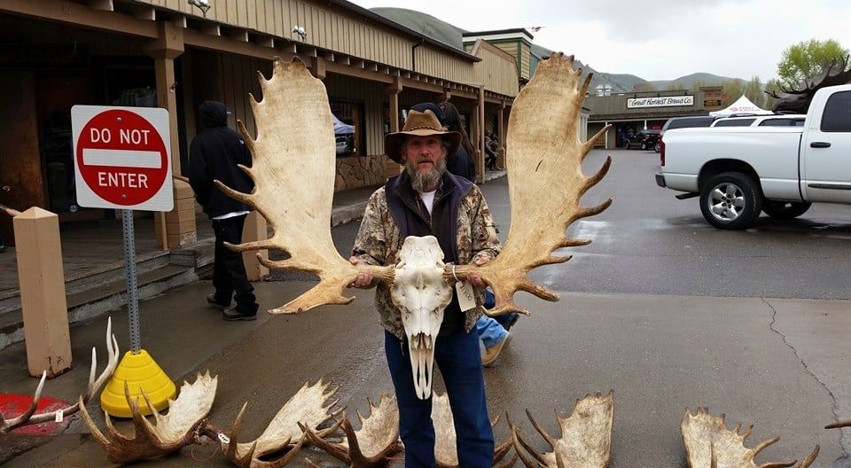 Heads, Hides and Horns - Helena Information