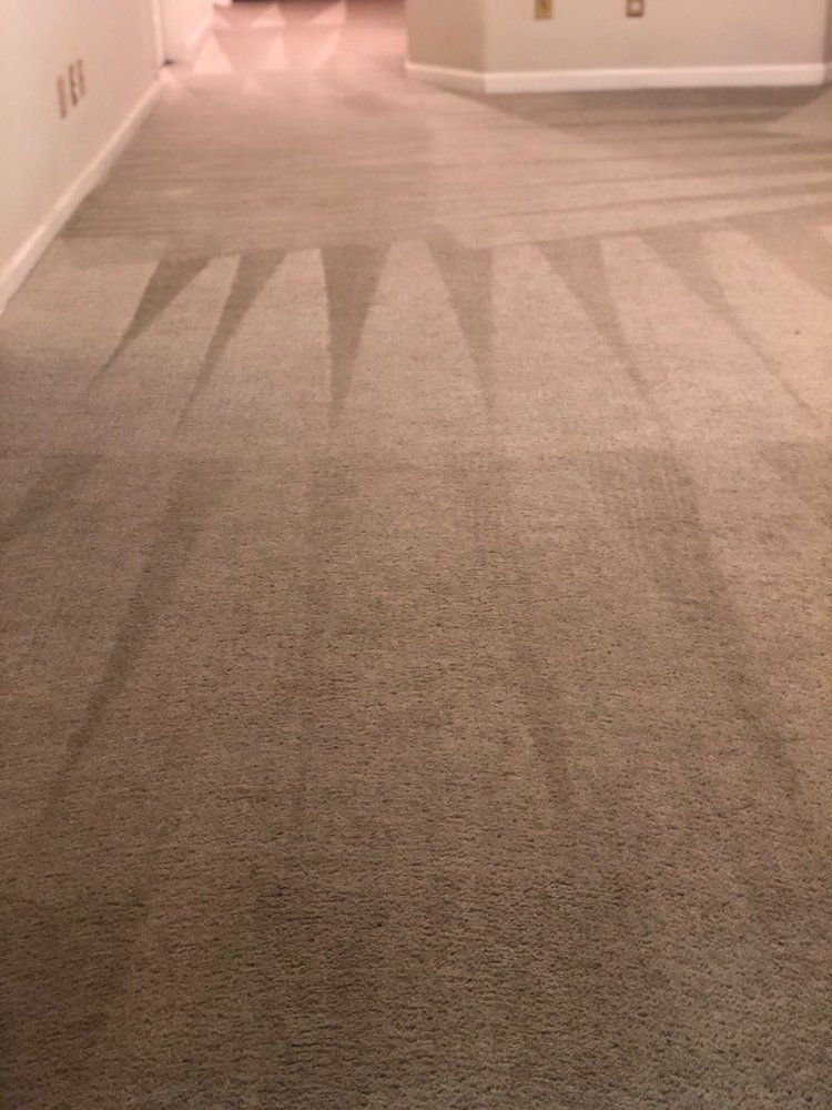 Affordable Carpet Care - Greensboro Accommodate